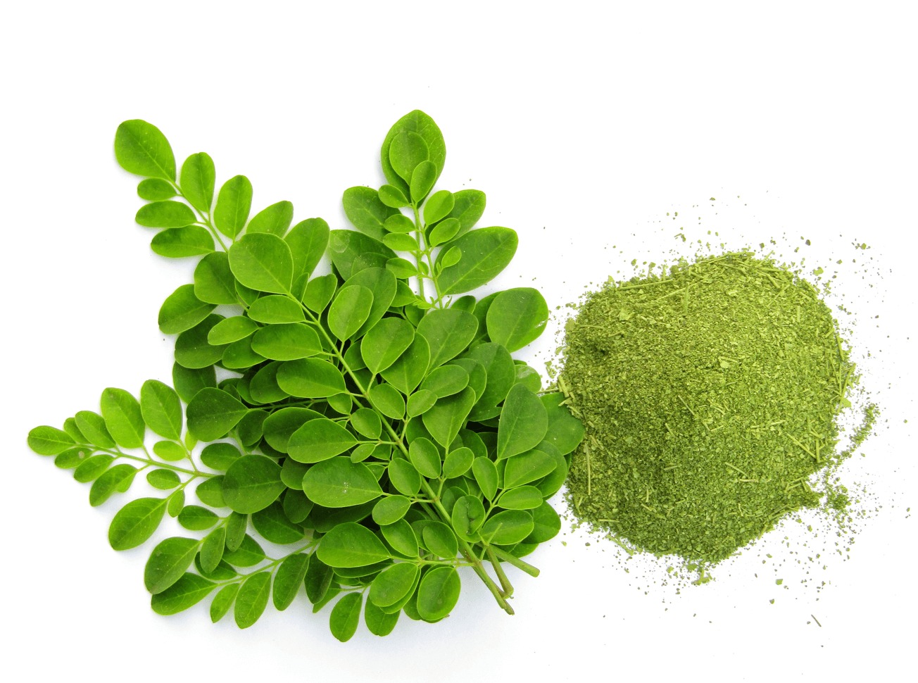 Moringa Powder