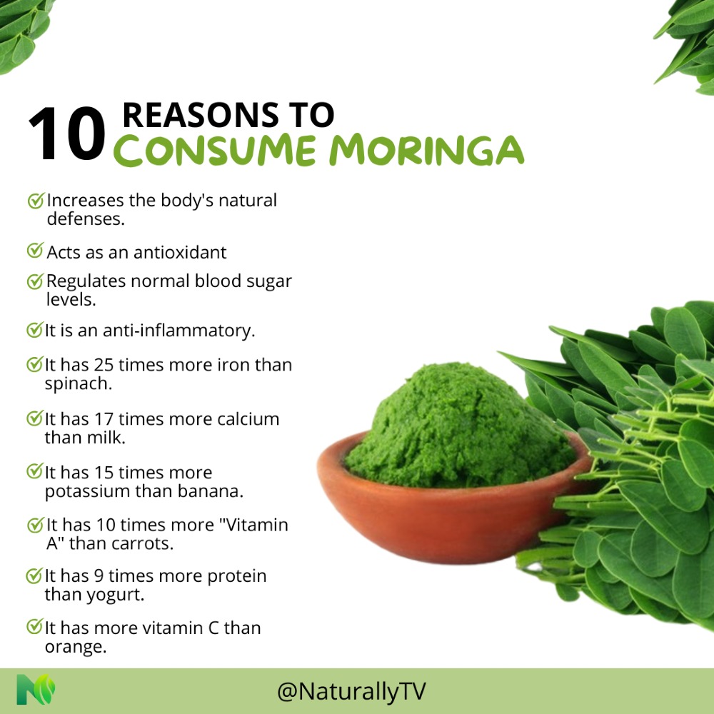 Moringa Powder AND lives
