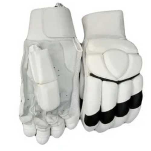 Cricket Batting Gloves