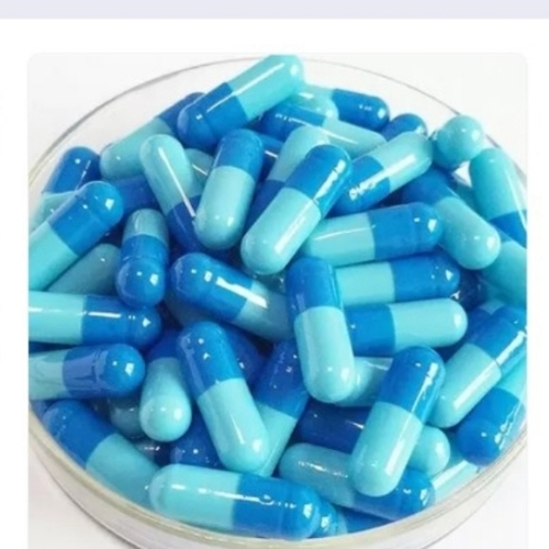 Pharmaceutical Empty Capsules 