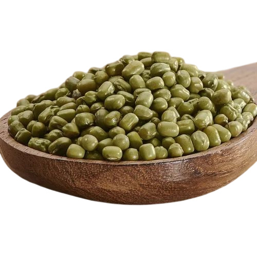 Green Moong Dal - Natural Dried Green Mung Beans, Whole Oval Shape, 50kg, Common Cultivation
