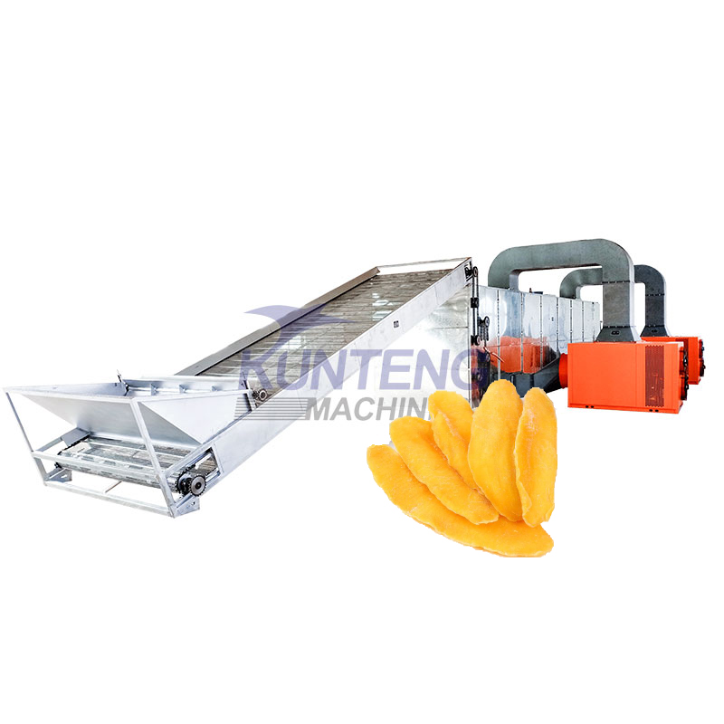 Automatic Dried Mango Production Line - Color: Customized
