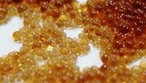 Dm Plant Resin