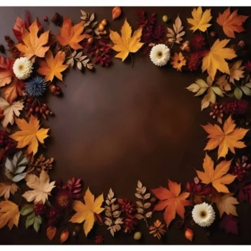 New Born Baby Backdrops