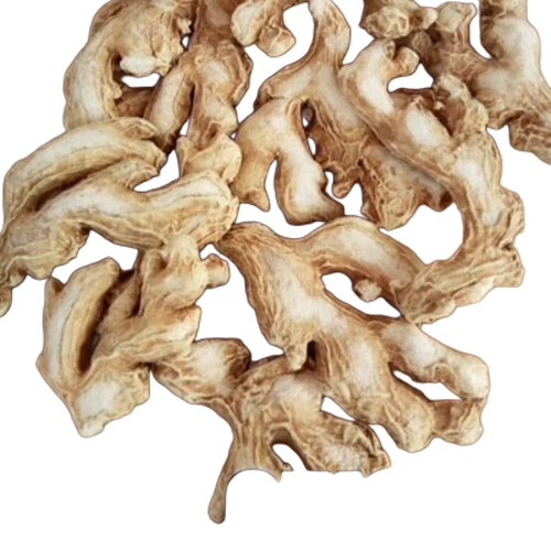 Dry Ginger