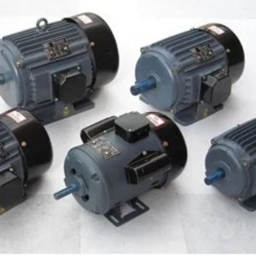 Industrial Electric Motors