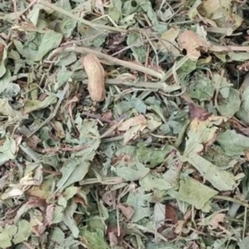 Mumfali Bhusa Goat Feed