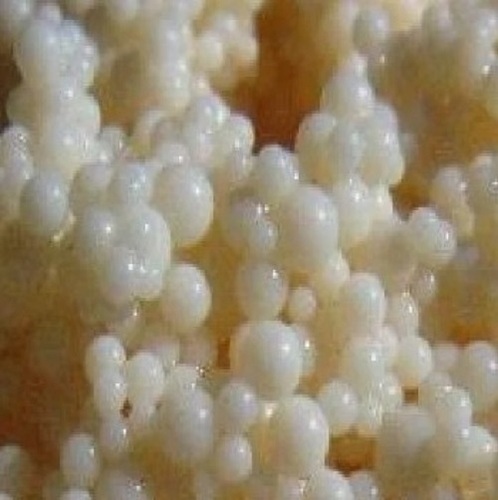 Weak Base Anion Resins