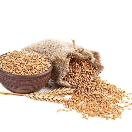 Wheat Grains - Crop Year: 1 Week