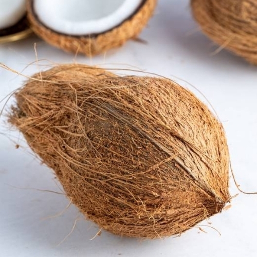 Fresh Brown Coconut