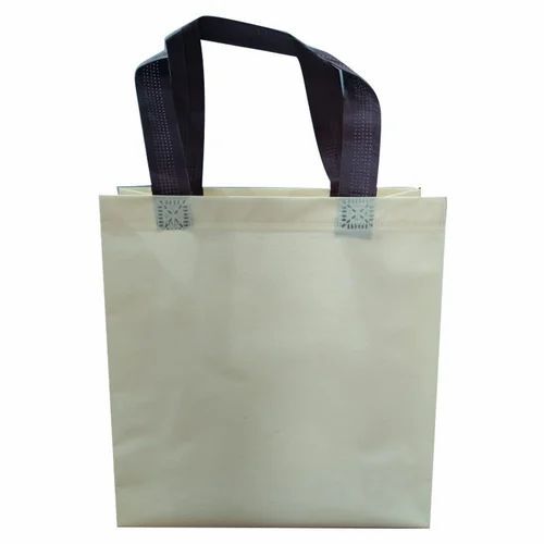Non Woven Loop Handle Bag