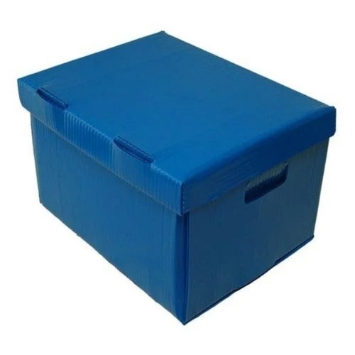 Pp Packaging Box - Color: Blue