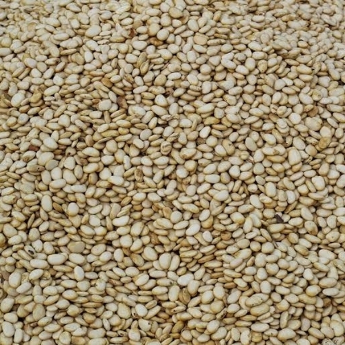 Sesame Seeds - Organic Brown, Grade A | Nutrient Dense, Antioxidant Rich, Nutty Flavor, Culinary Use