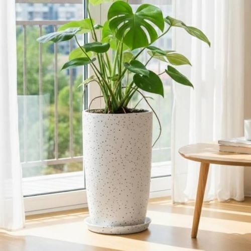 Ugaoo Ceramic Decorative Potkraft Seeds Large Garden Pot