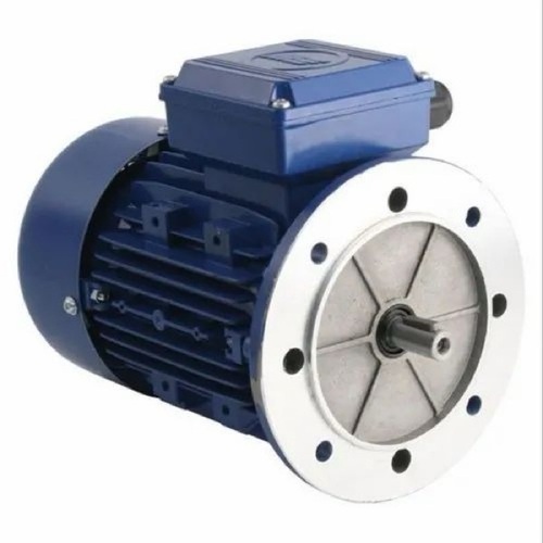 Bm Series Brake Motor