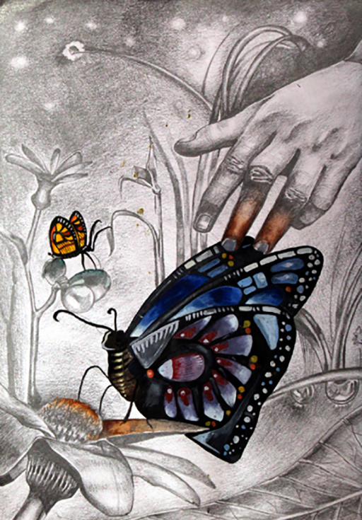 Butterfly Hand Paintings (Titlee-The Butterfly 2012 F 110) - Color: Multicolor