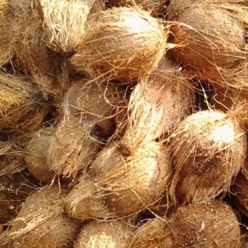 Fresh Coconut By Ever Green Coconut