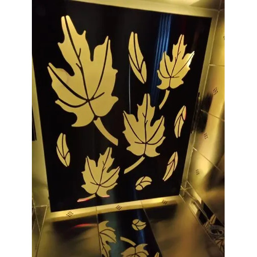 Designer Stainless Steel Elevators