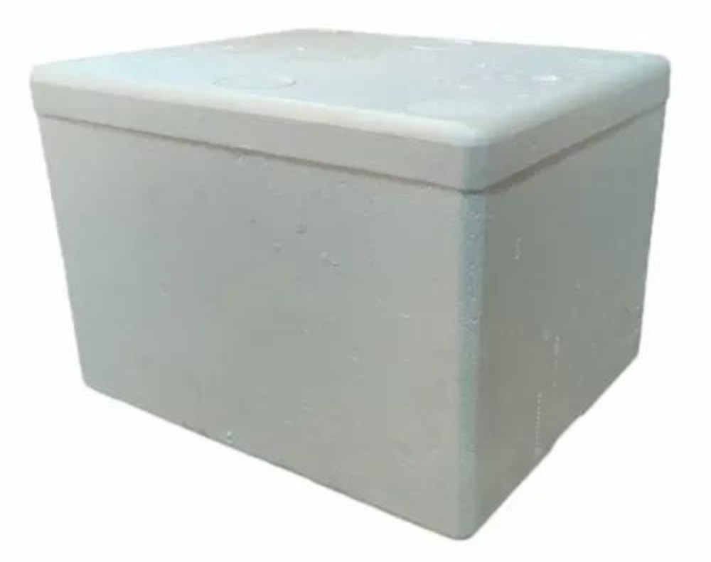 Thermocol Packaging for Ice/Fish Box