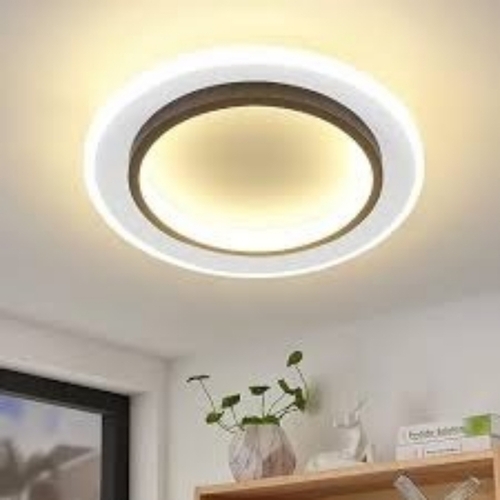 Celling Lights Round White500 