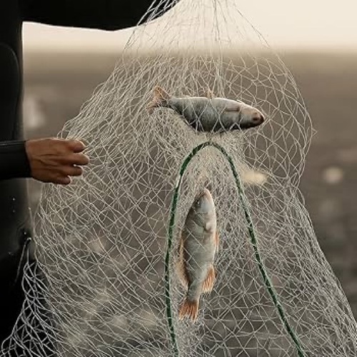 Fishing Net
