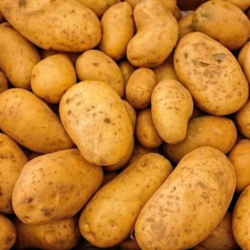 Potato 