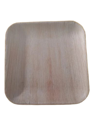 Square Areca Leaf Plate