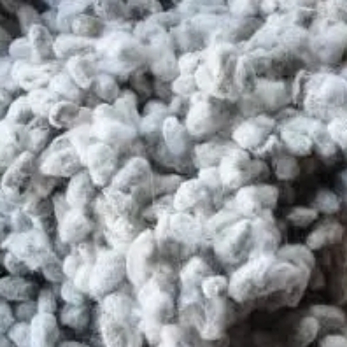 Natural Cotton Seeds