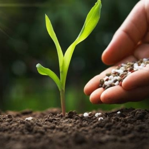 Agricultural Fertilizer