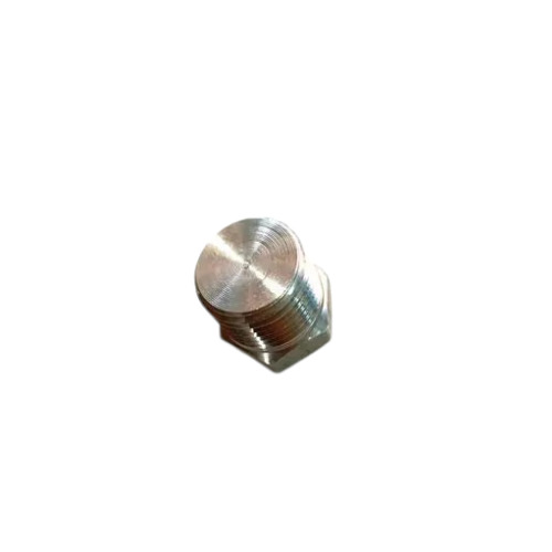 Stainless Steel SS 304 316 NPT Plug