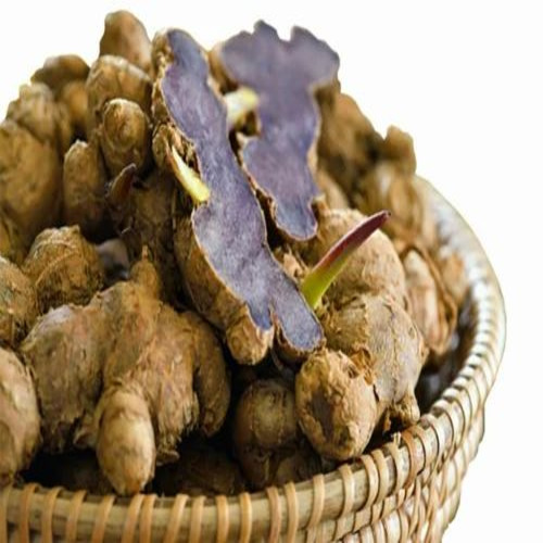 03 Black Ginger Seed