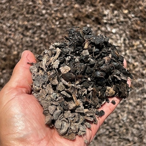 Palm Shell Powder