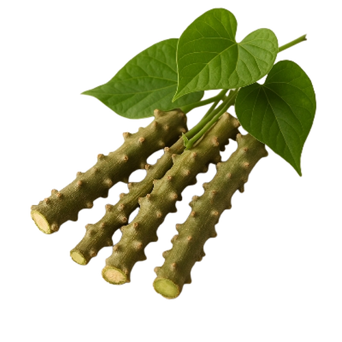 Natural Giloy
