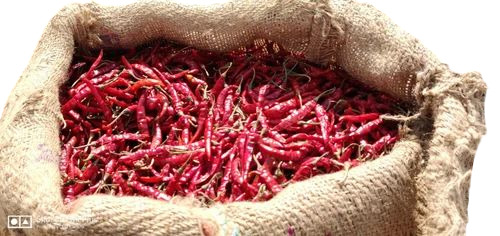 Dry Red Chilli By Trao Global