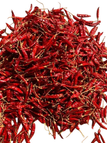 Indian Dried Red Chilli