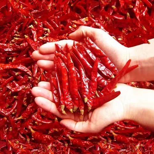 Natural Dry Red Chillies