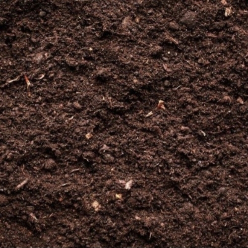 Organic Fertilizer