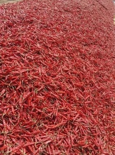 Rajasthani Dry Red Chilli