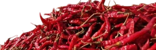 Teja S17 Dry Red Chilli