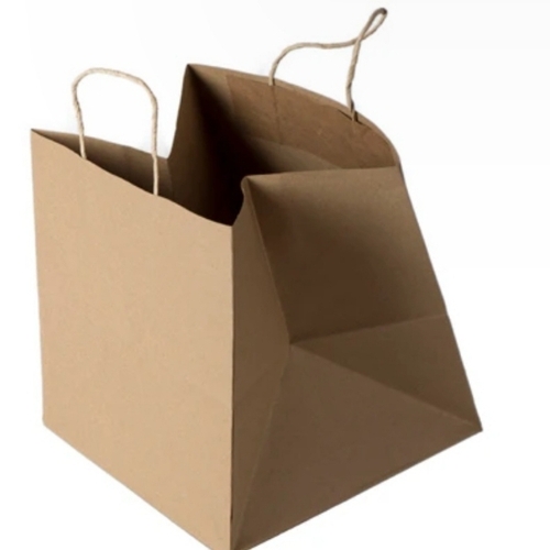 Brown Plain Paper Bag