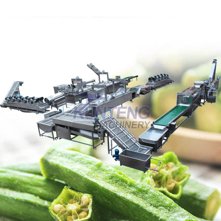Complete Okra Meat Frying Packaging Production Line Machine
