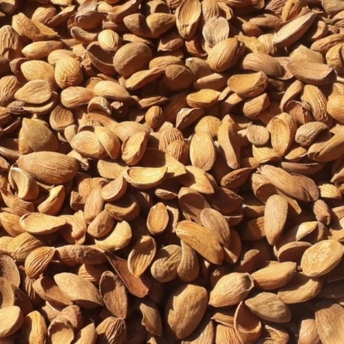 Mamra Almond