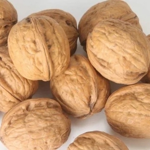 Whole Organic Walnuts