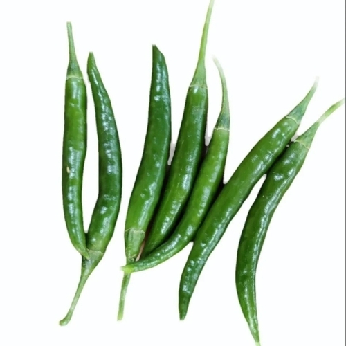 Fresh Green Chilli