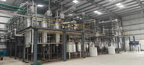 Gymnema 75% Extraction Plant