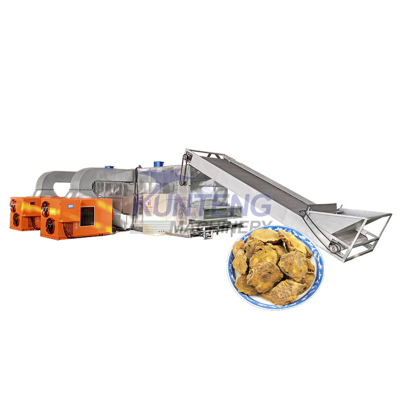 Large Continuous Mesh Belt Dryer