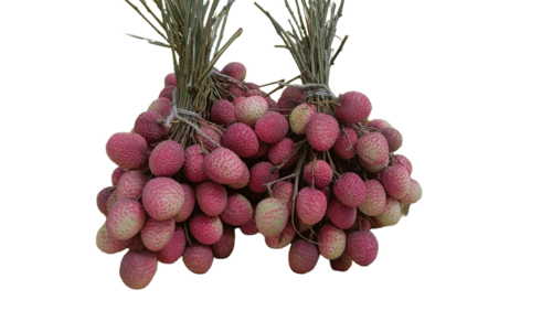 Litchi Fresh Fruits