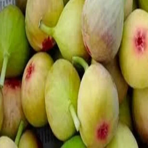 Am Anjeer Pulp Premium Quality