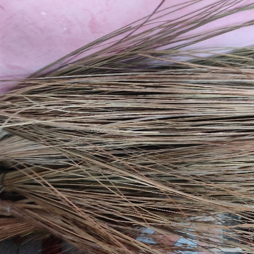 Broom Sticks
