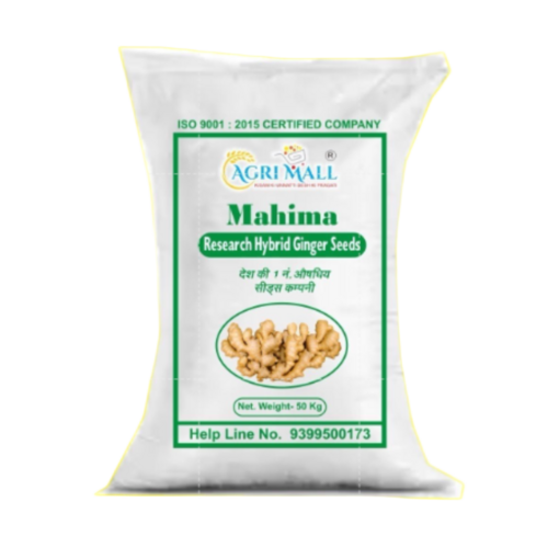 Ginger Seeds (Mahima)